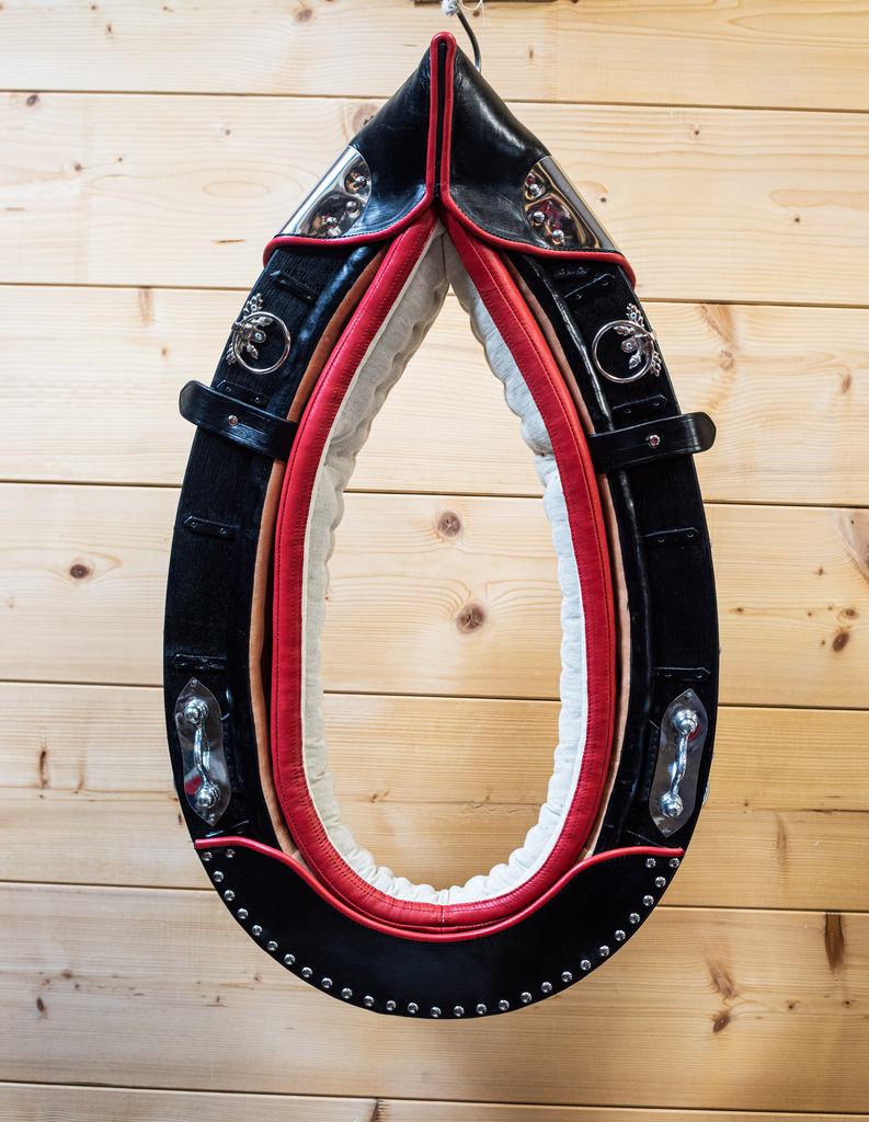 Horse-collar Noble LGD pointed collar